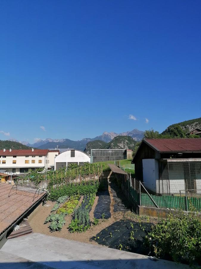 Al Fogolar Hotel Villa Santina Exterior photo